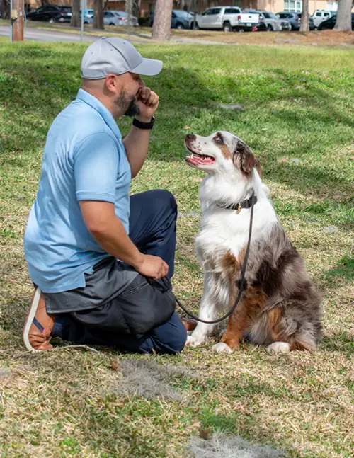 Dog training session at Caspers Camp Hope. Gainsville, FL