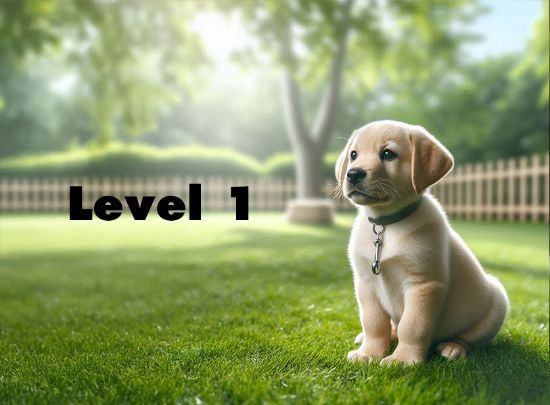 Picture of Reserve - Puppy Foundational Camp – Level 1