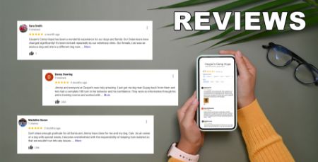 Picture for category Reviews