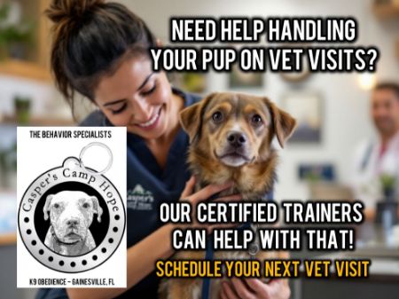 Picture for category Veterinary Visits Assistance