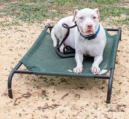 Picture for category Casper’s Story