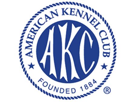 Picture for category AKC Certification Prep & Testing in Gainesville, FL