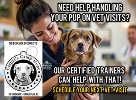 Picture for category Veterinary Visits Assistance