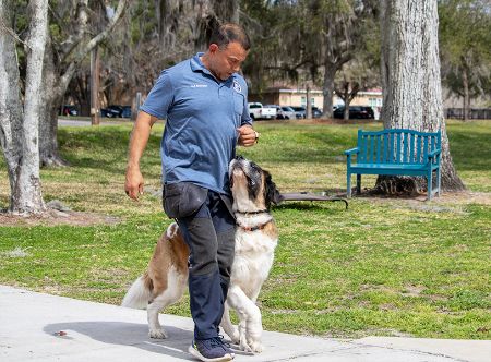Picture for category Off Leash Training
