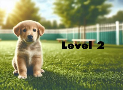 Picture of Reserve - Puppy Functional Obedience Camp – Level 2