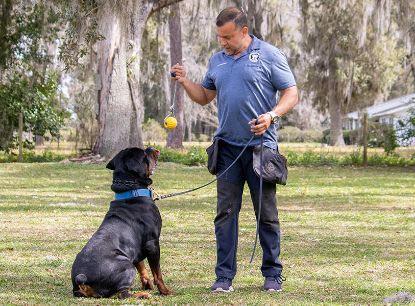 Picture of Reserve - Behavior Rehabilitation Camp