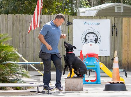 Picture for category Dog Training in Gainesville, FL  6-Week Private Lesson Programs