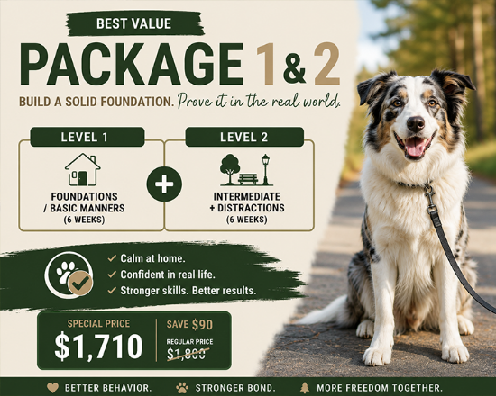 Picture of Level 1 + Level 2 Package