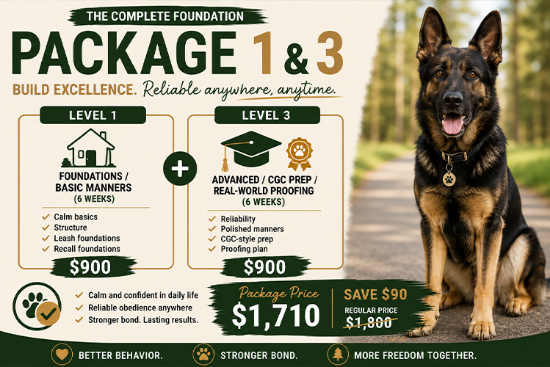 Picture of Level 1 + Level 3 Package