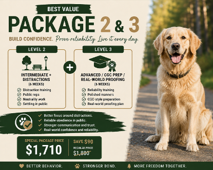 Picture of Level 2 + Level 3 Package
