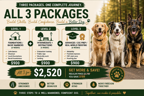 Picture of Complete Training Package (Levels 1, 2 & 3)