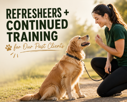 Picture of Refreshers + Continued Training Starting at $149