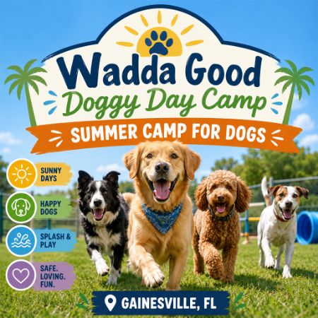 Picture for category Wadda Good Doggy Day Camp — Summer Camp for Dogs (Gainesville, FL)