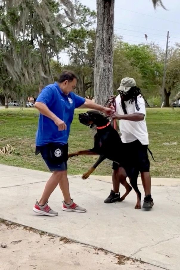 Aggressive Doberman attacks Jimmy, dog trainer at Casper’s Camp Hope Dog Training Gainesville FL