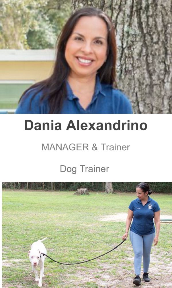 Dania Alexandrino Top Gun Manager at Casper’s Camp Hope Dog Training
