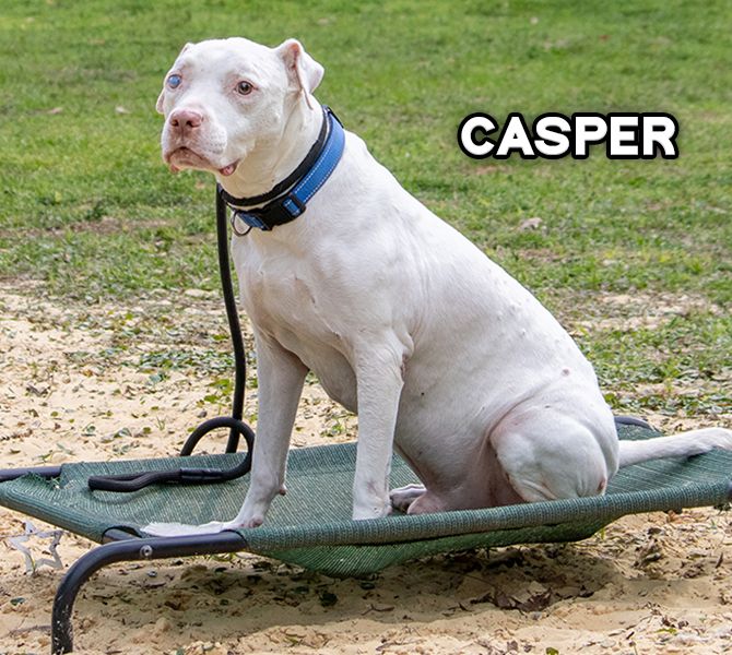Casper