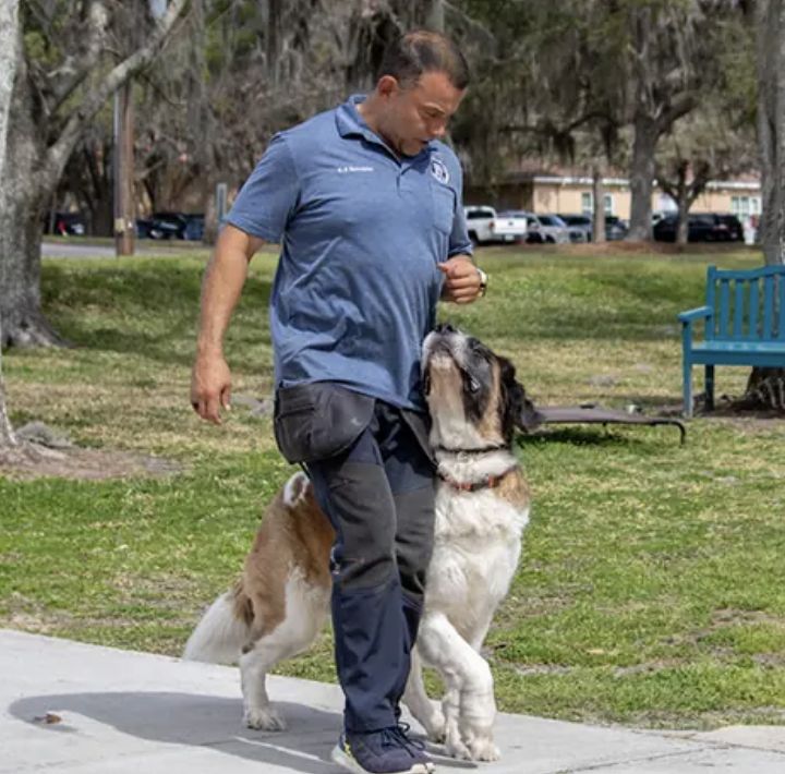 Jimmy Casper’s Camp Hope lead trainer walking with Bernie our mentor dog off leash