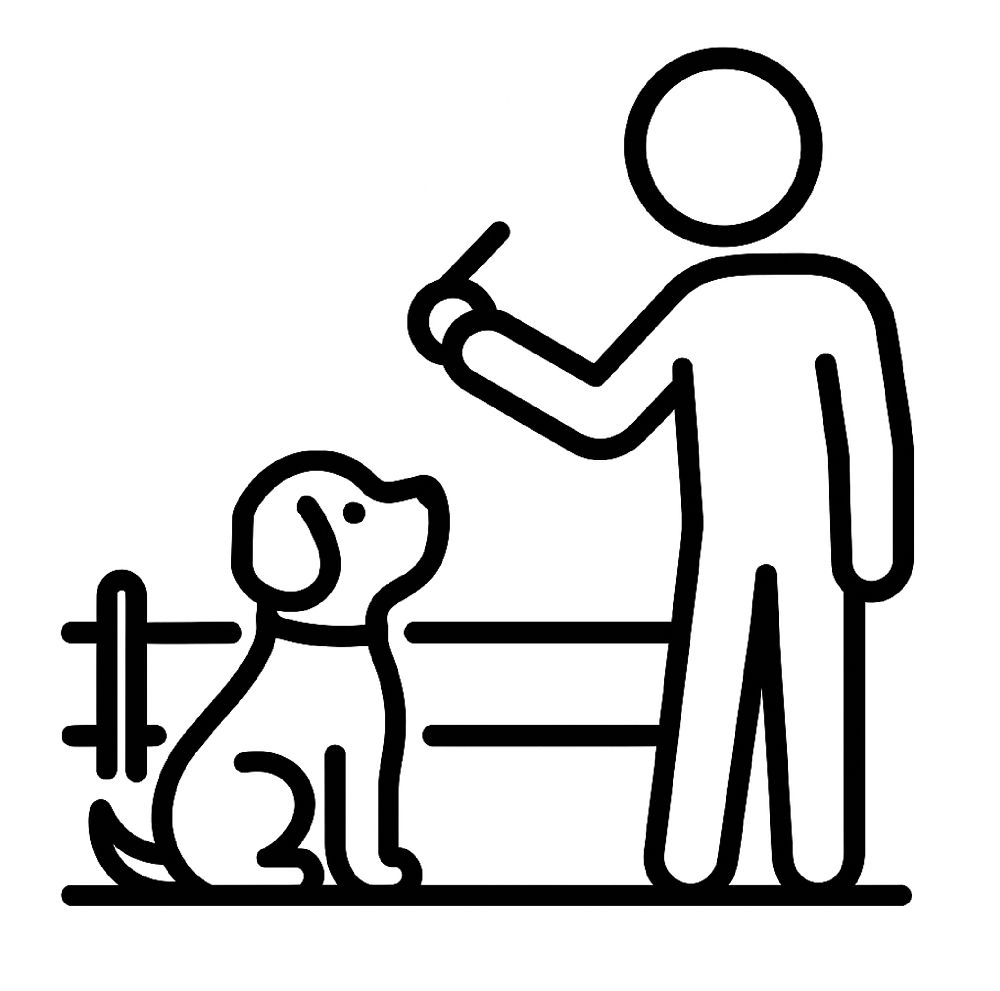 Puppy Obedience Camp Gainsville, FL