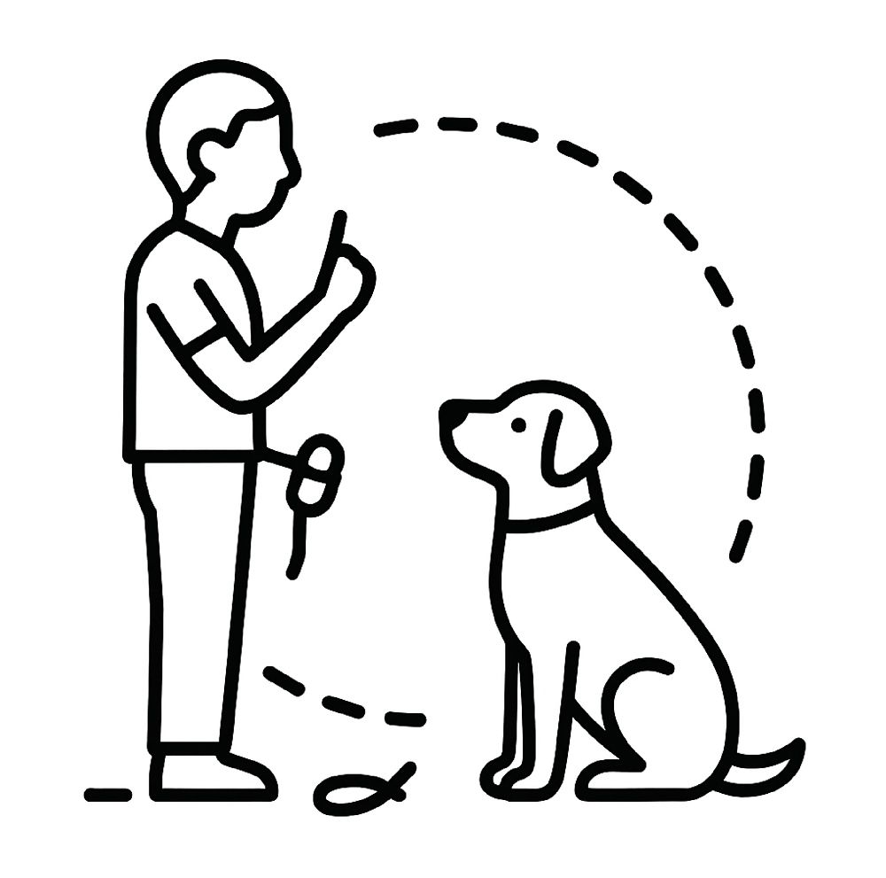 High Obedience – Off Leash Camp Gainsville, FL